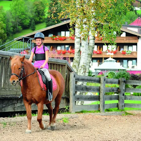 Szálloda Ferienwelt Kesselgrub In Altenmarkt-zauchensee
