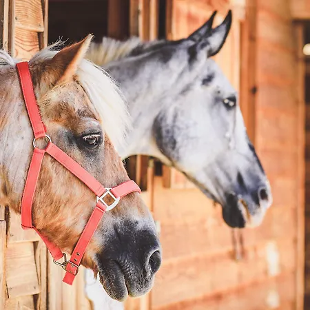 Ferienwelt Kesselgrub In Altenmarkt-zauchensee Ξενοδοχείο 4*