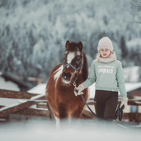 Ξενοδοχείο Ferienwelt Kesselgrub In Altenmarkt-zauchensee