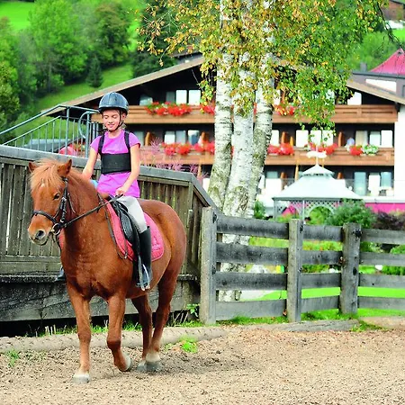 Ferienwelt Kesselgrub In Altenmarkt-zauchensee Altenmarkt im Pongau